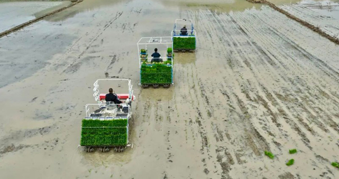 福安：水稻插秧忙 智慧农机跑出春耕“加速度”