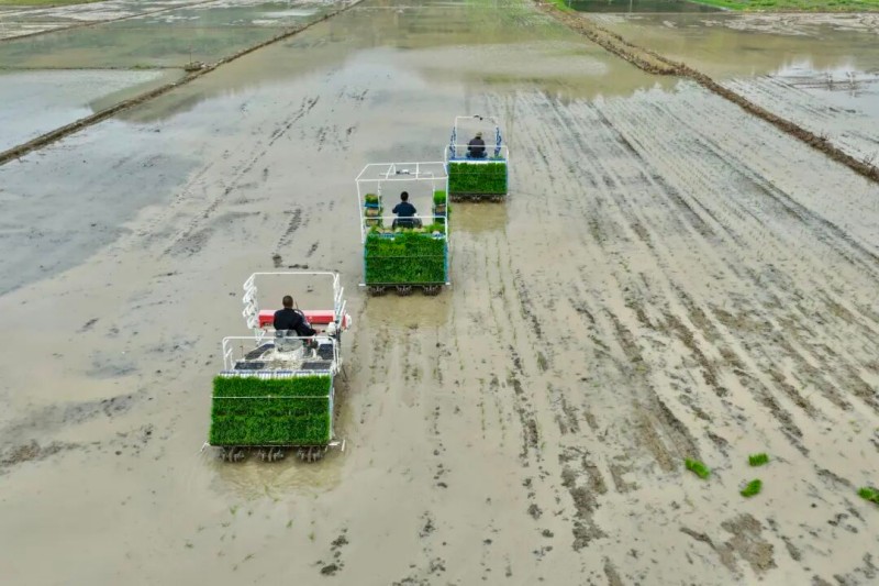 4月21日，在福安市甘棠镇港岐村的稻田里，一幅科技赋能春耕的画卷正徐徐展开。