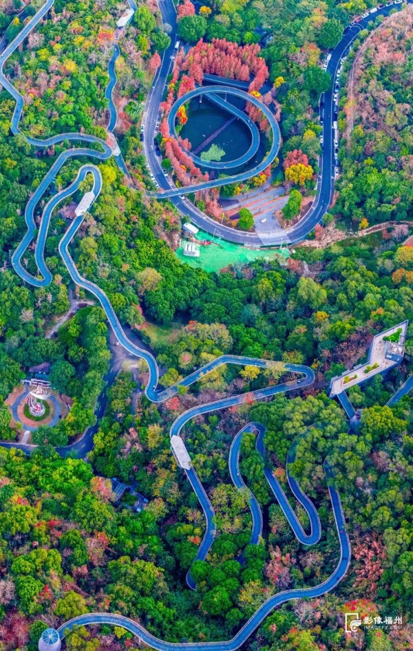 ▲整片水杉林如一条火红的彩带镶嵌在山林之间。罗南军/摄