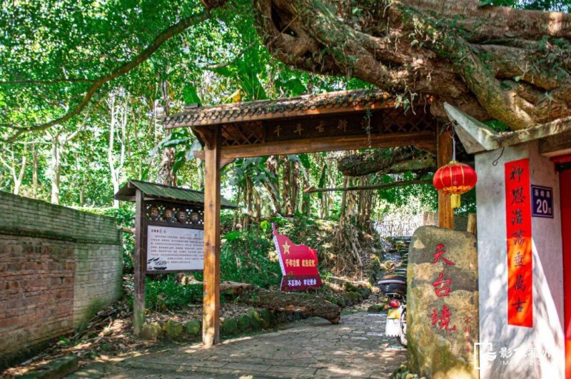 ▲汤岭古道。林双伟/摄