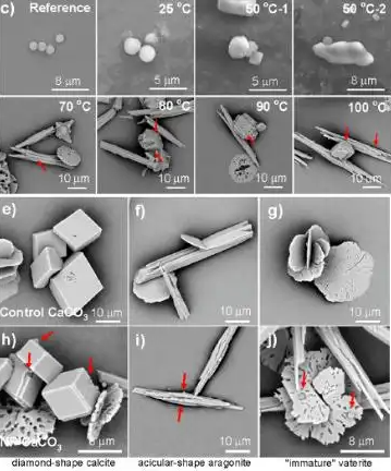自己烧水喝和买桶装水，哪种更健康？