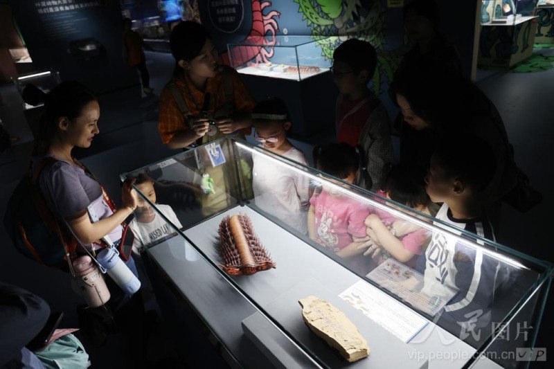4月25日，厦门科技馆年度特展《嗨！海怪》吸引了市民游客目光。