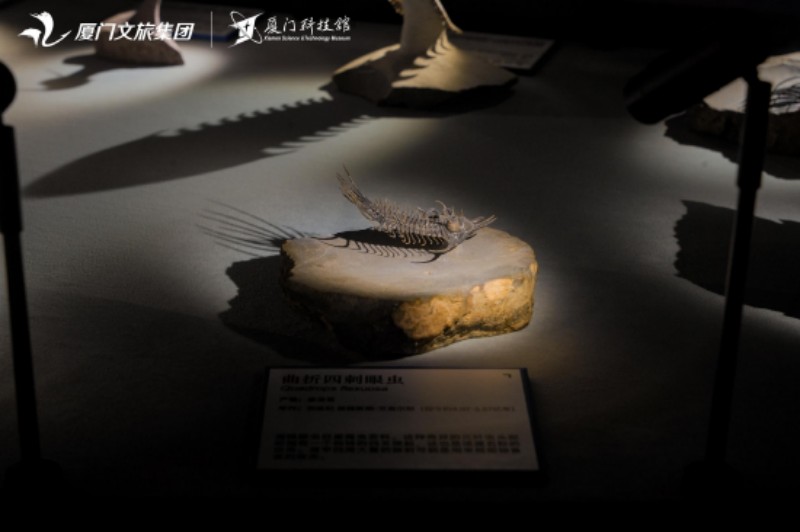 4月24日，厦门科技馆2026年度特展《嗨！海怪》海洋古生物化石科普展正式对公众开放。厦门科技馆供图