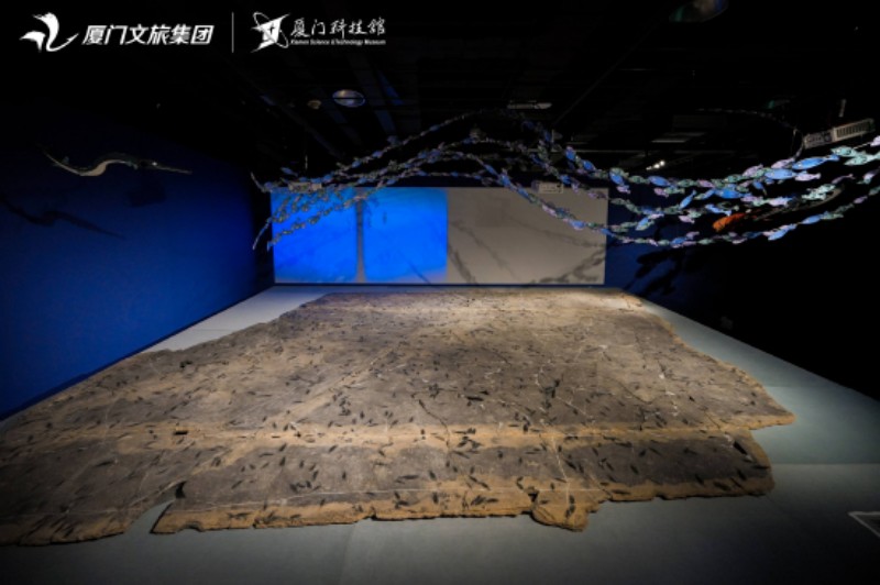 正中央是7米长的“腊山鱼群”大板。厦门科技馆供图