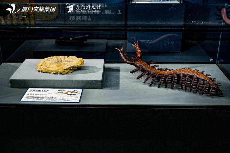4月24日，厦门科技馆2026年度特展《嗨！海怪》海洋古生物化石科普展正式对公众开放。厦门科技馆供图