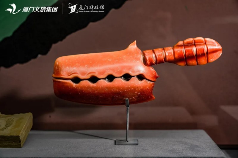 前半截鼓鼓囊囊像个口袋，后半截细长像尾巴，它叫古虫。厦门科技馆供图