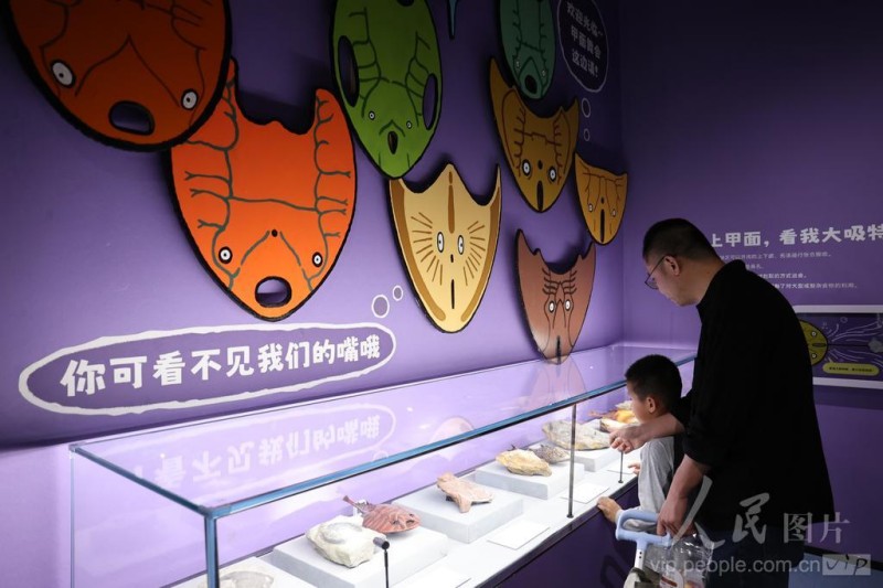 4月25日，家长陪孩子到厦门科技馆参观年度特展《嗨！海怪》。厦门科技馆供图