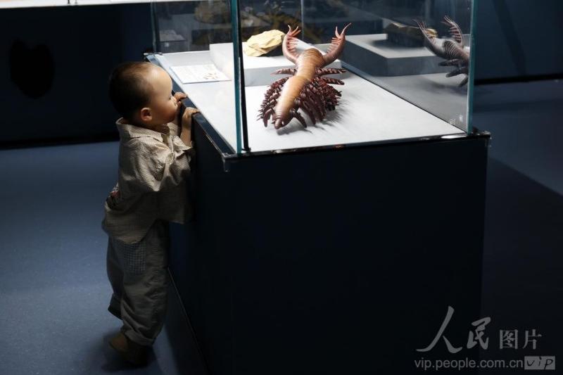 4月25日，厦门科技馆年度特展《嗨！海怪》吸引了小朋友的目光。