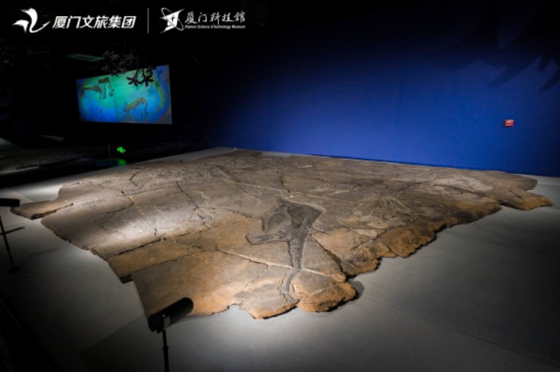 正中央是7米长的“腊山鱼群”大板。厦门科技馆供图