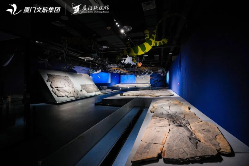 正中央是7米长的“腊山鱼群”大板。厦门科技馆供图