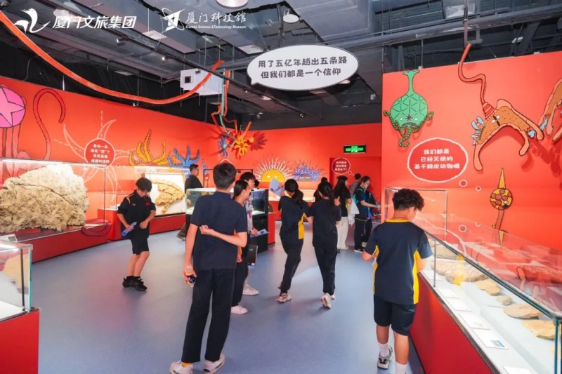 4月25日，厦门科技馆年度特展《嗨！海怪》吸引了市民游客目光。厦门科技馆供图
