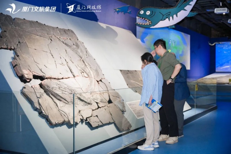 4月25日，家长向小朋友介绍在云南省发现的比耶鱼化石。厦门科技馆供图