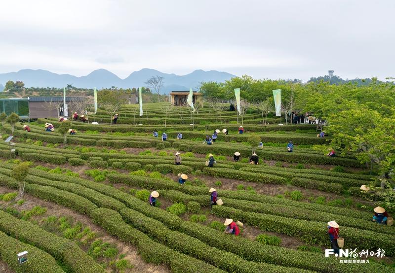永泰同安鎮書寫鄉村全面振興新答卷——以環境蝶變激活旅居新經濟