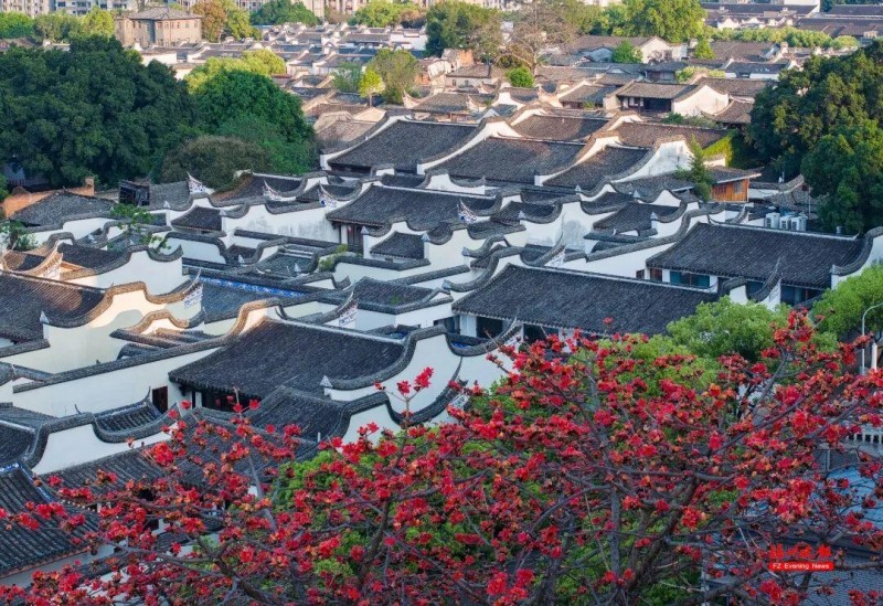 趁着“五一”假期，“十大优秀高校学子文旅推荐官”把有福之州的好吃好玩、好山好水推介给全国游客！