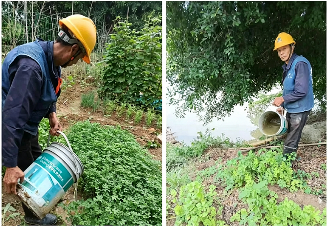闽侯县上街镇：翻盆倒罐清积水 筑牢防蚊防疫防线
