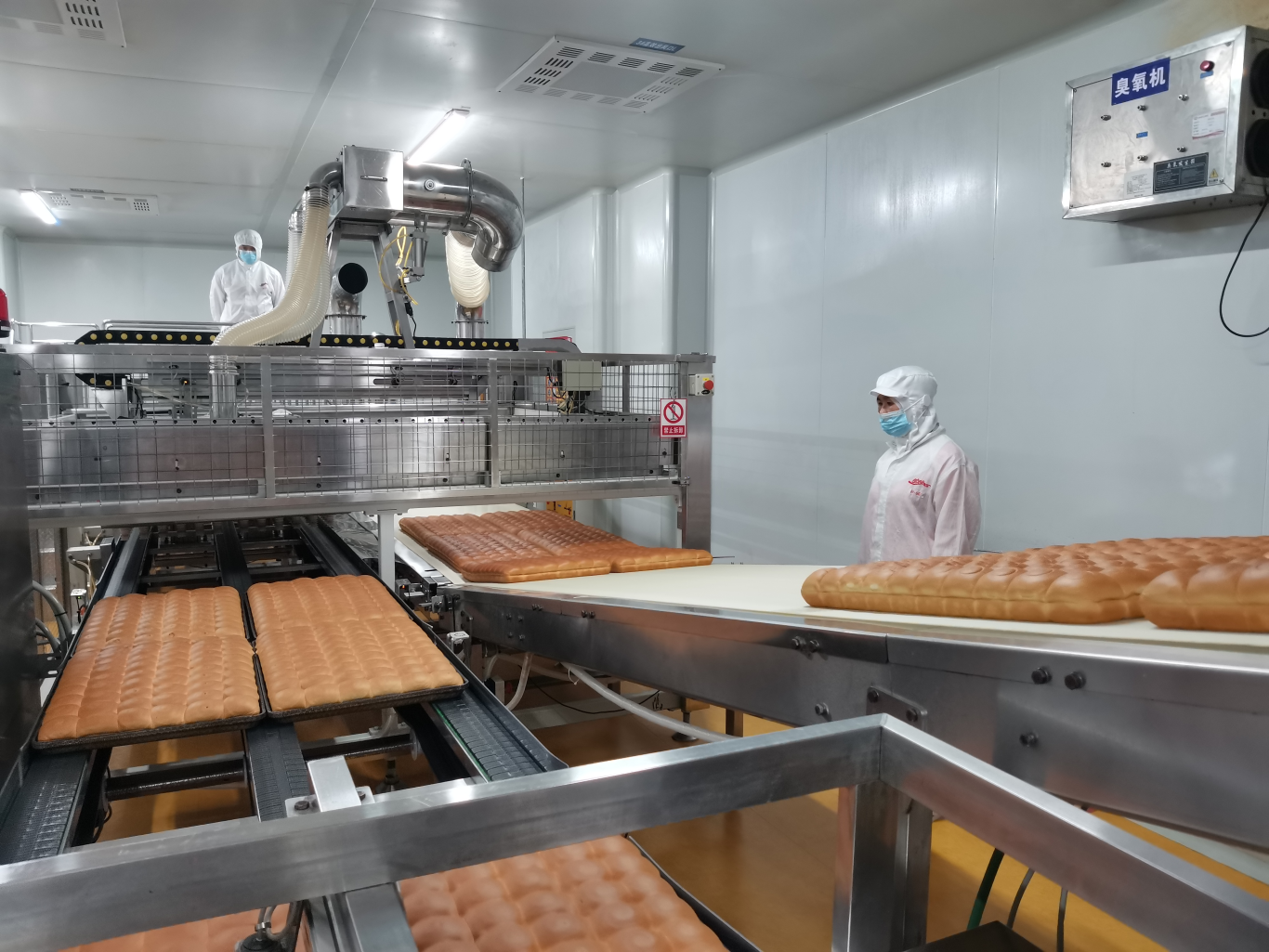 深读丨闽西“山货”，何以闯世界？