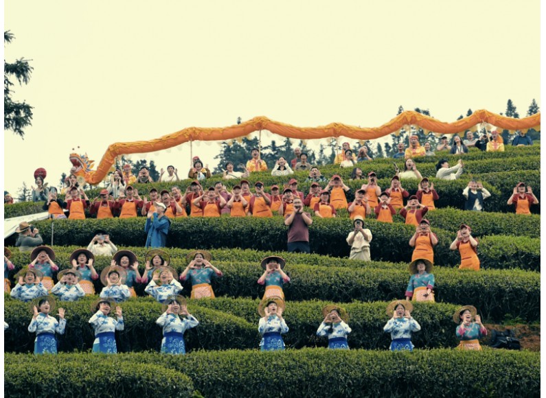 乡愁沈丹邀全国粉丝赴武夷山 沉浸式体验武夷茶事烟火