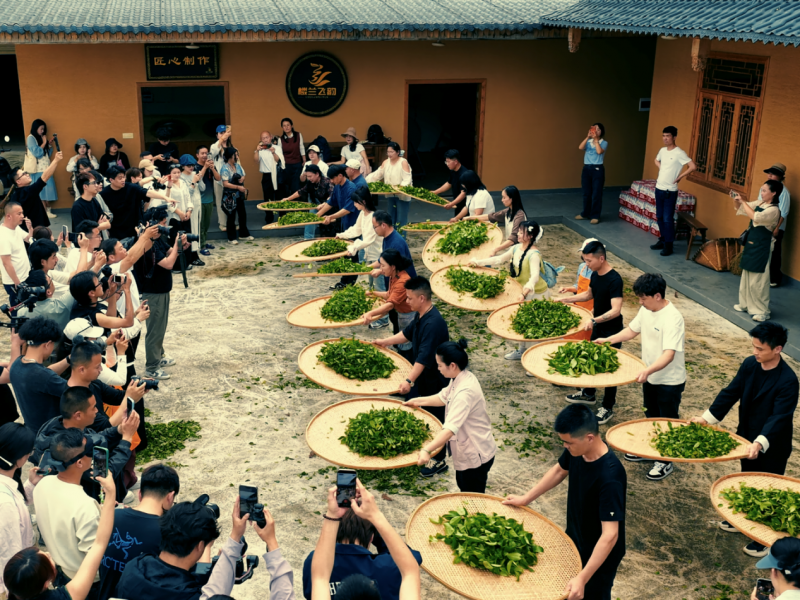 乡愁沈丹邀全国粉丝赴武夷山 沉浸式体验武夷茶事烟火