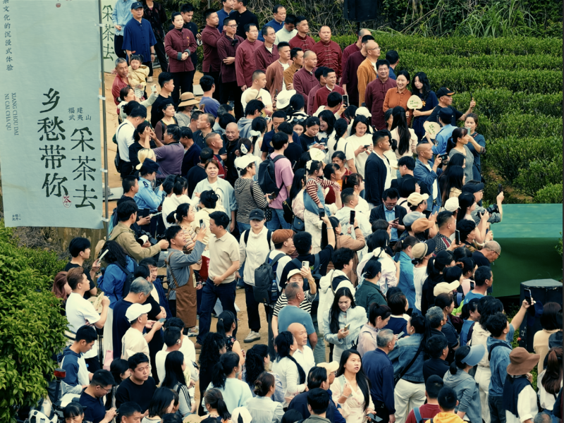 乡愁沈丹邀全国粉丝赴武夷山 沉浸式体验武夷茶事烟火