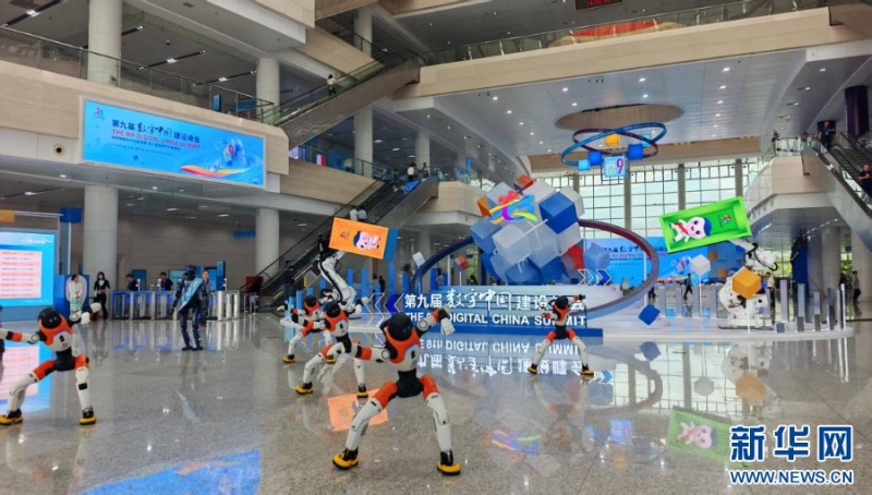 第九届数字中国建设峰会现场展示的机器人。新华网 刘丰 摄