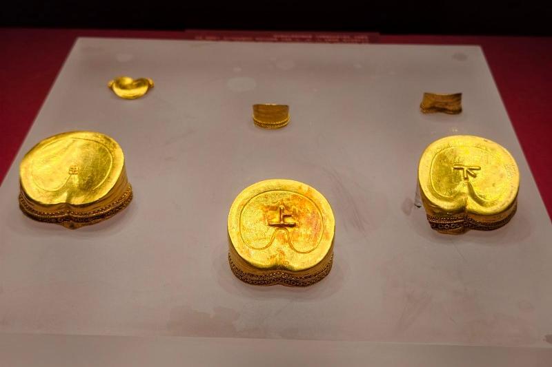 现场展出的马蹄金。