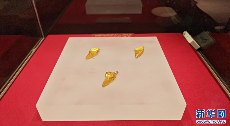 现场展出的麟趾金。新华网 刘丰 摄