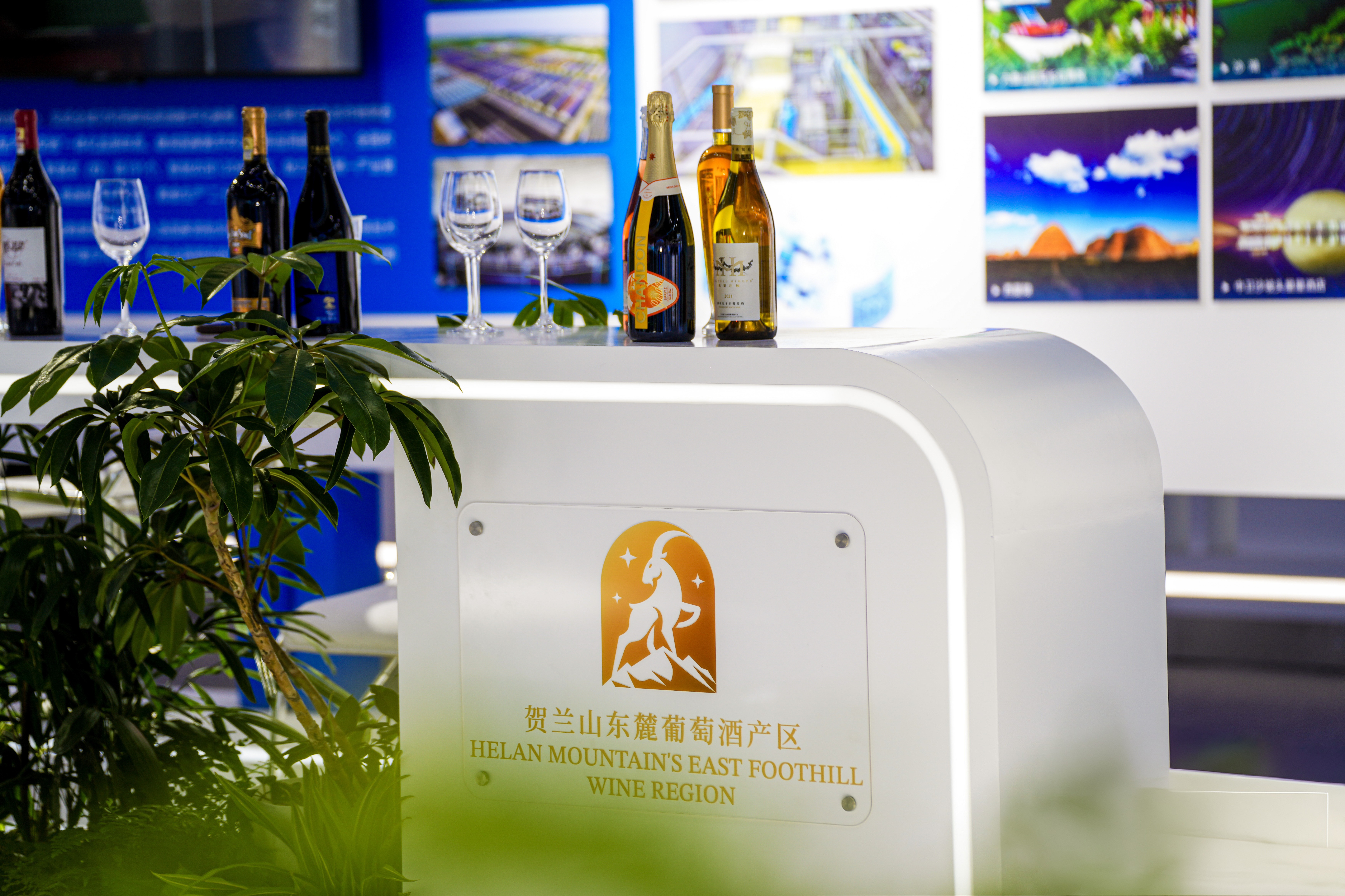 生活如何越“算”越甜？宁夏“数智天团”亮相福州第九届数字中国建设峰会