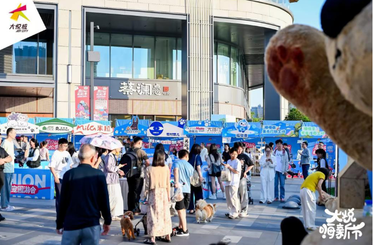 中英人寿厦门分公司“全民悦养嘉年华”活力启幕