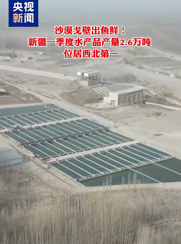 沙漠戈壁出鱼鲜！新疆水产品一季度产量达2.6万吨