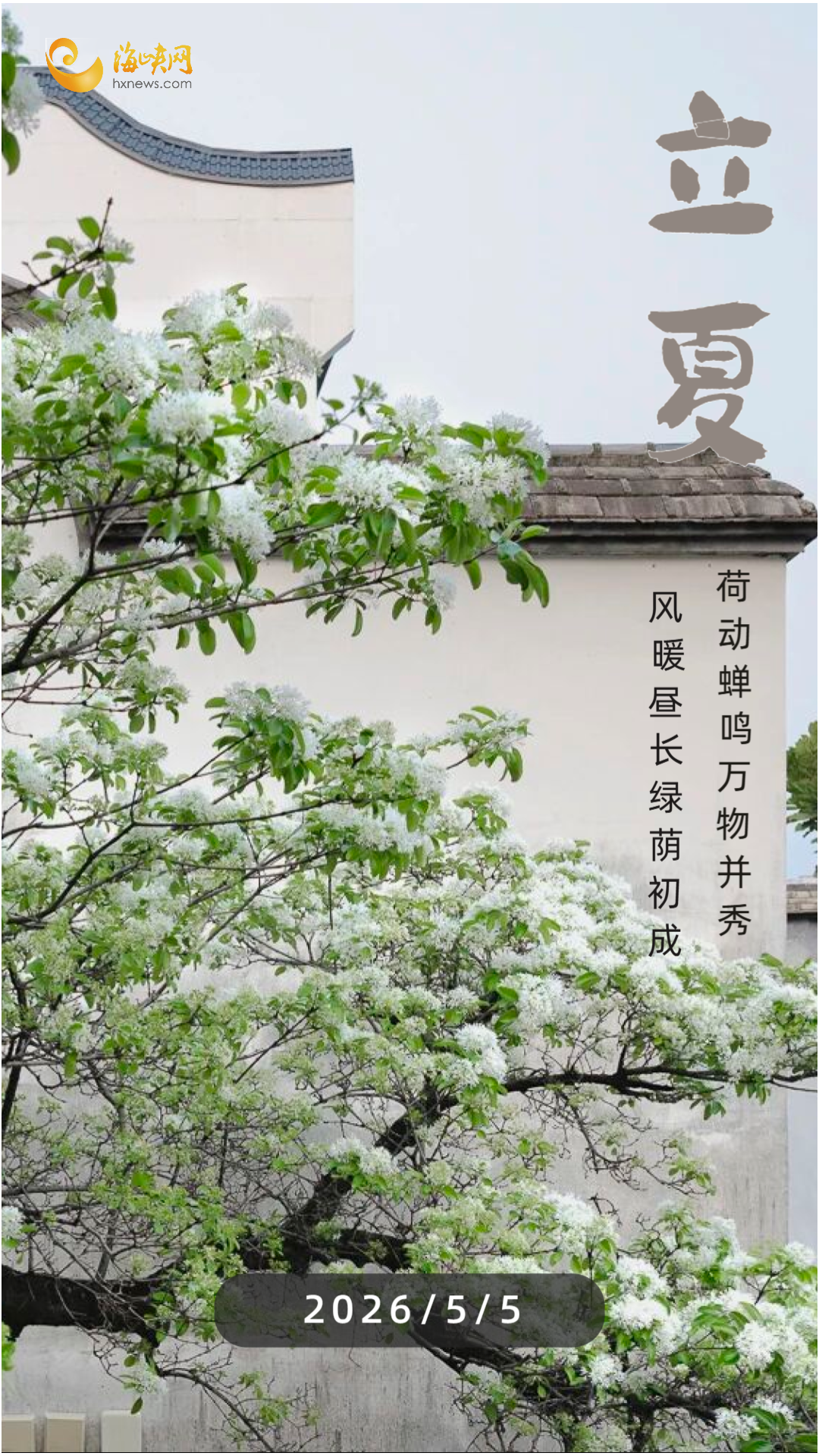 今日立夏｜既然春风留不住 莫负夏花盛放时