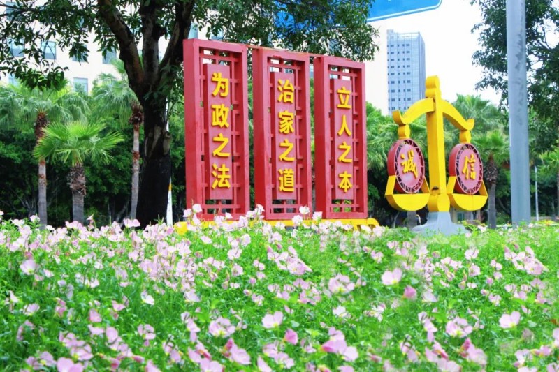 层层叠叠的粉白色小花簇拥生长，错落有致地铺满草坪，远远望去，宛如一块轻柔浪漫的粉色锦缎，又似一幅浑然天成的春日油画。丁林怡 摄