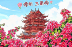 漳州三角梅新品种获特金奖