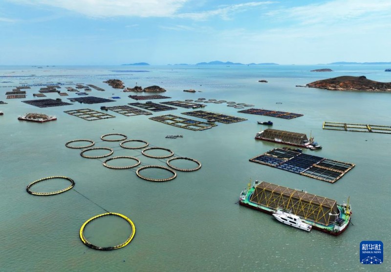 这是4月2日在福建省福州市连江县定海湾拍摄的海上养殖区（无人机照片）。新华社记者 林善传 摄