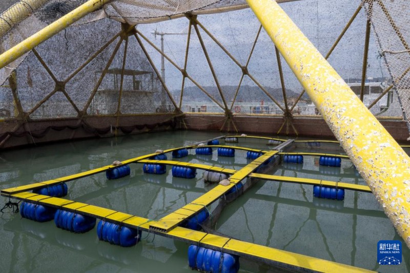 这是4月2日在福建省福州市连江县定海湾海域拍摄的“定海湾2号”平台。新华社记者 刘梦琪 摄