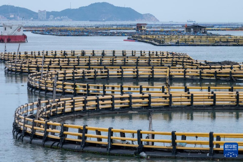 这是4月2日在福建省福州市连江县定海湾海域拍摄的海上养殖区。新华社记者 刘梦琪 摄