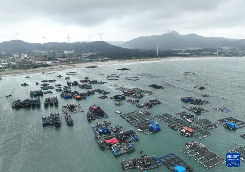 这是4月21日在福建省漳州市东山县澳角村拍摄的一处海上养殖区（无人机照片）。新华社记者 林善传 摄