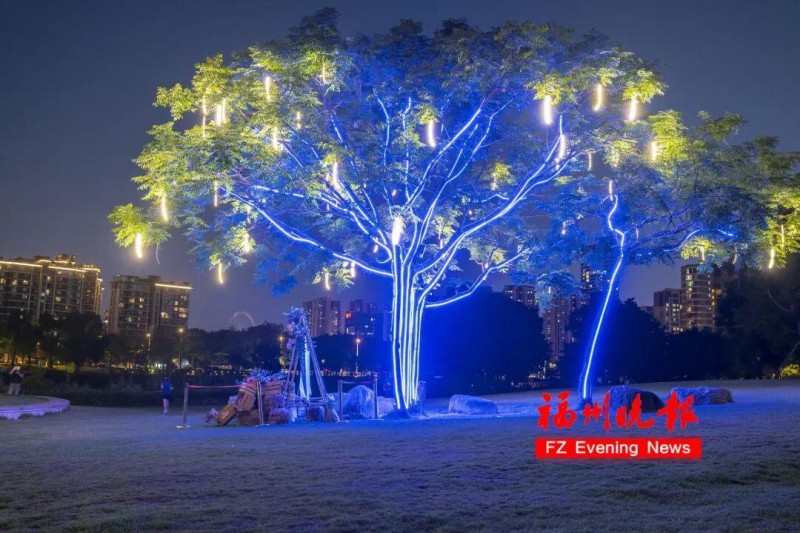 夜色里，只见一束束光线从大地“迸发”，沿着苦楝树的树干枝丫生长，光线在夜色里勾勒出绿树轮廓，宛若一棵“生命之树”。记者 陈暖 摄