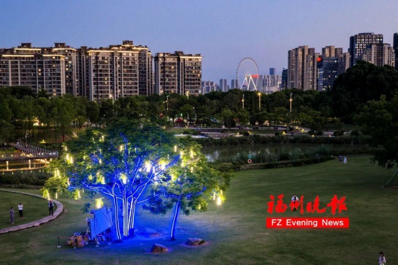 当“光的枝丫”探入树冠的刹那，一根根黄色的景观灯霎时点亮，绿叶之间，犹如开出一朵朵金灿灿的黄花。记者 陈暖 摄
