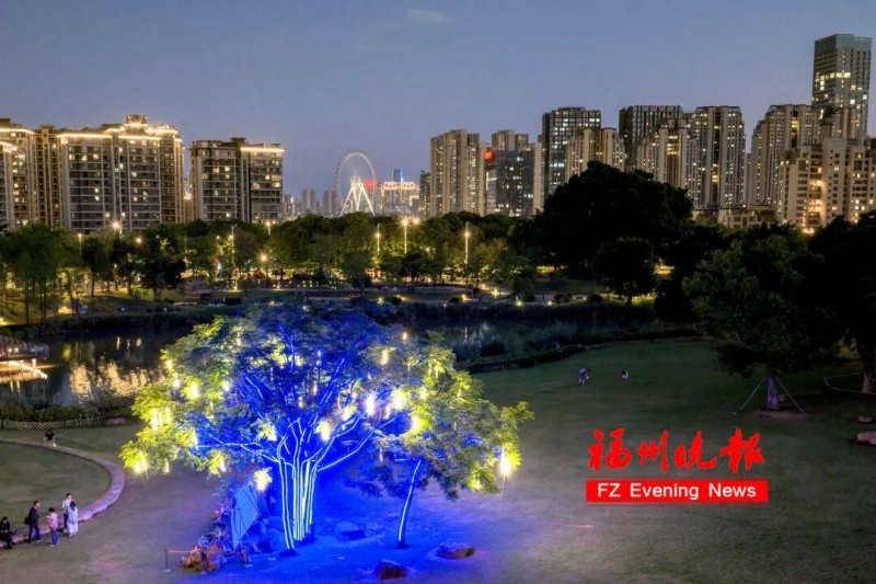从高空俯瞰，夜景灯光树与晋安湖摩天轮形成“连线”，成为一道标志性的风景。记者 陈暖 摄