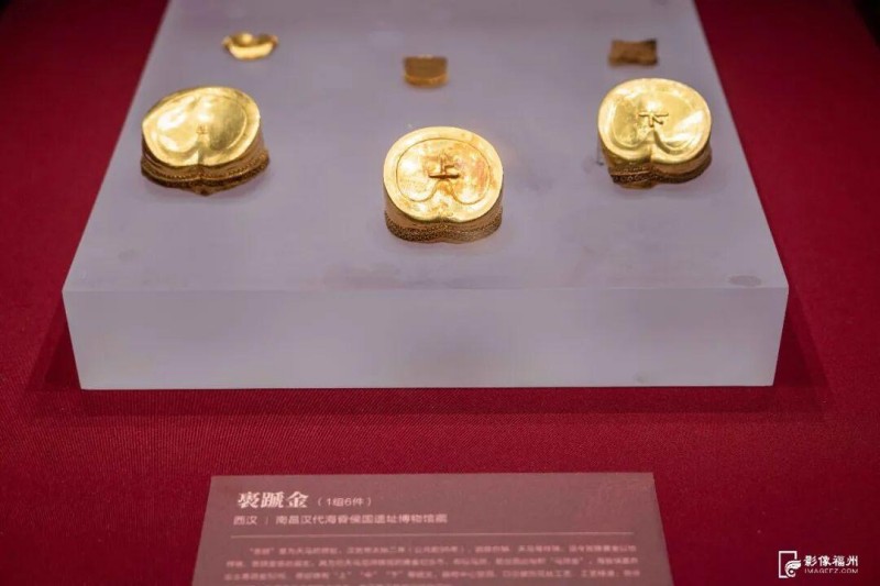 这是现场展出的马蹄金。