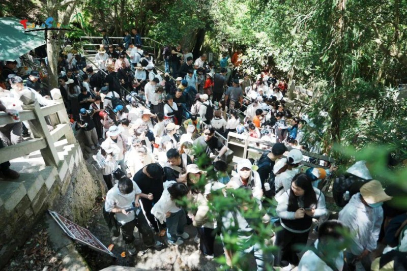 福建正用它的山海气度与人文温度，承接住这份期待。太姥山景区供图