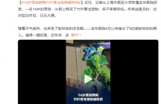 14岁男孩网购竹叶青当宠物被咬伤 所幸送医及时已无大碍