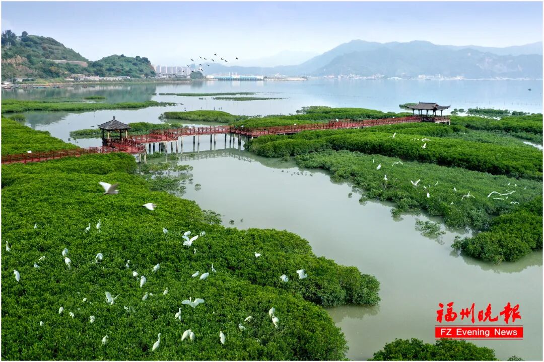 福建“春秋假”来啦！即刻开启“行走的课堂”