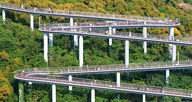 福建厦门：半山绿树半山金