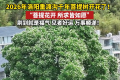 洛阳千年菩提树开花了 满树白花如雪似雾