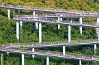 福建厦门：半山绿树半山金