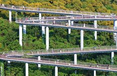 福建厦门：半山绿树半山金