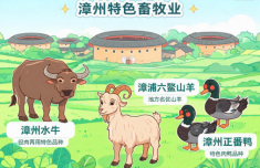 “种”力量赋能，漳州特色畜牧业“家底”更厚