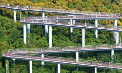 福建厦门：半山绿树半山金