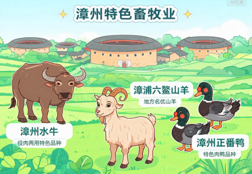 “种”力量赋能，漳州特色畜牧业“家底”更厚